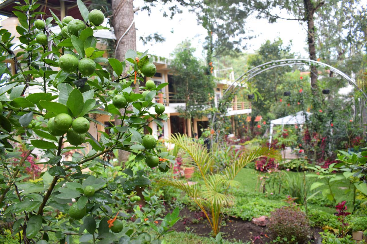 Pescador Hotel Ph Santiago Atitlán Exteriör bild